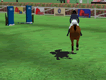 Horse Jumping 3D